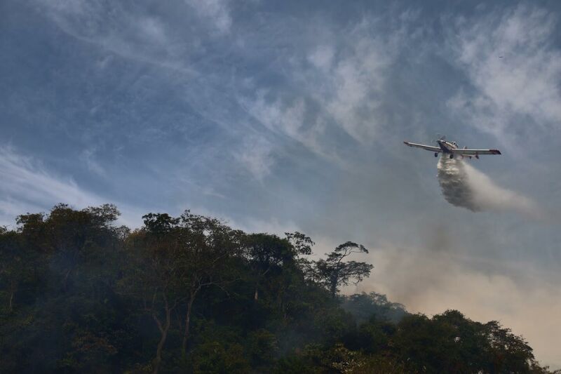 Ilustração da notícia Bombeiros fazem queimas controladas em áreas do Pantanal e reforçam preparo para incêndios florestais em MS